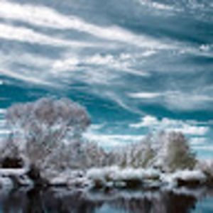 Meet your Posher, Dylan